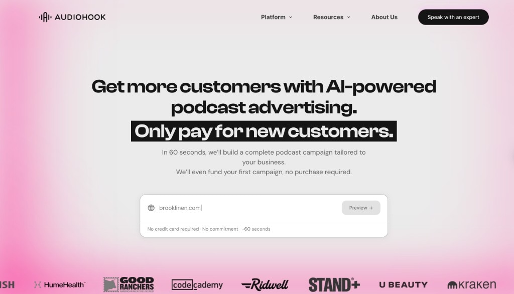 Audiohook website preview